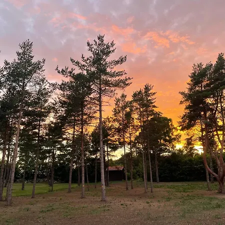 Saaremaa Vaikuse * Praakli